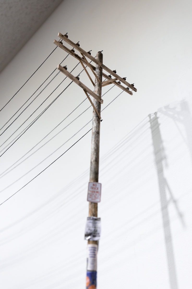 Telephone Lines