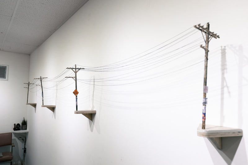 Telephone Lines