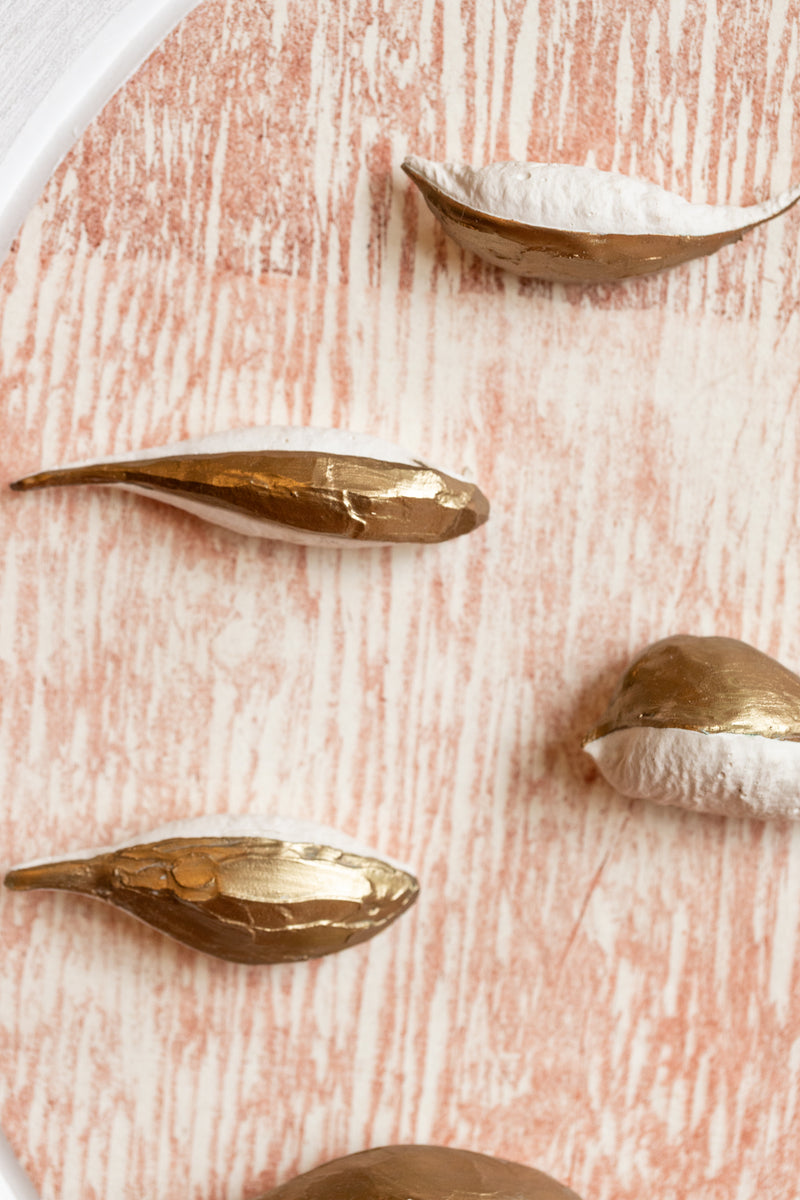 Ten Milkweed Pods