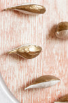 Ten Milkweed Pods