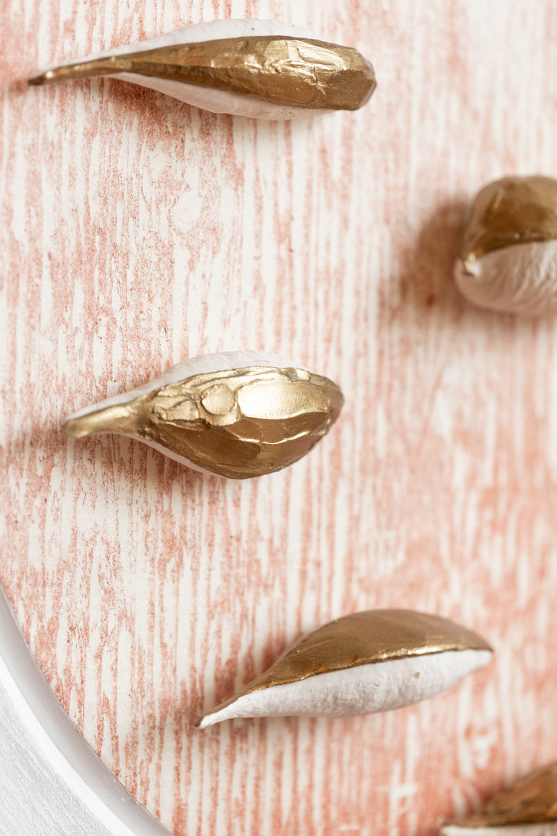 Ten Milkweed Pods