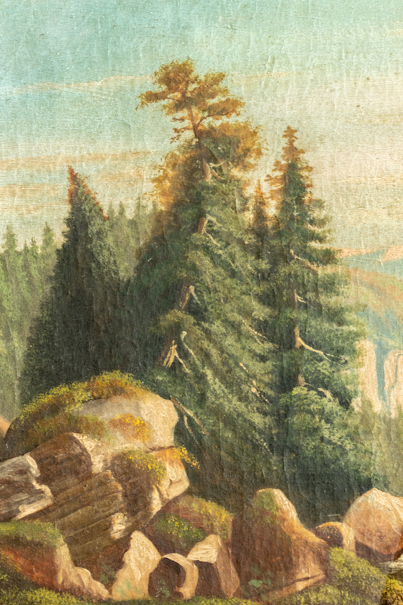 The Viewpoint