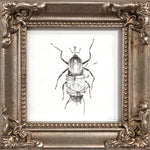 The Martyr III