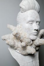 The Oyster