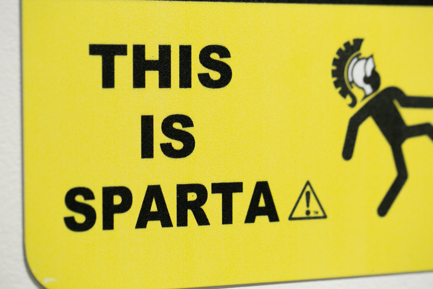 This is Sparta – Paradigm Gallery + Studio