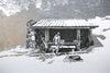 Tricorner Knob Shelter, North Carolina, [ 35.69375, -83.25653 ]