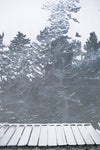 Tricorner Knob Shelter, North Carolina, [ 35.69375, -83.25653 ]