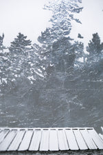 Tricorner Knob Shelter, North Carolina, [ 35.69375, -83.25653 ]