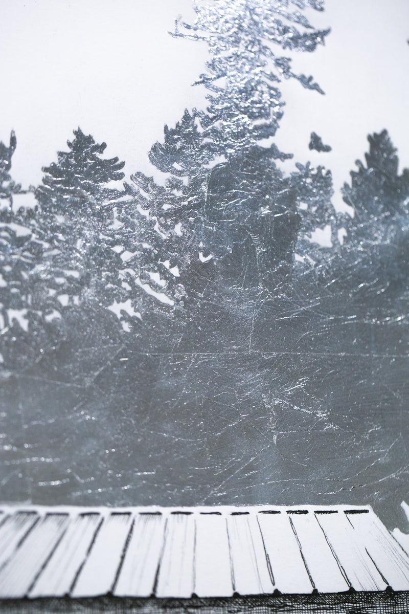 Tricorner Knob Shelter, North Carolina, [ 35.69375, -83.25653 ]