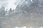 Tricorner Knob Shelter, North Carolina, [ 35.69375, -83.25653 ]