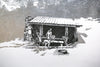 Tricorner Knob Shelter, North Carolina, [ 35.69375, -83.25653 ]