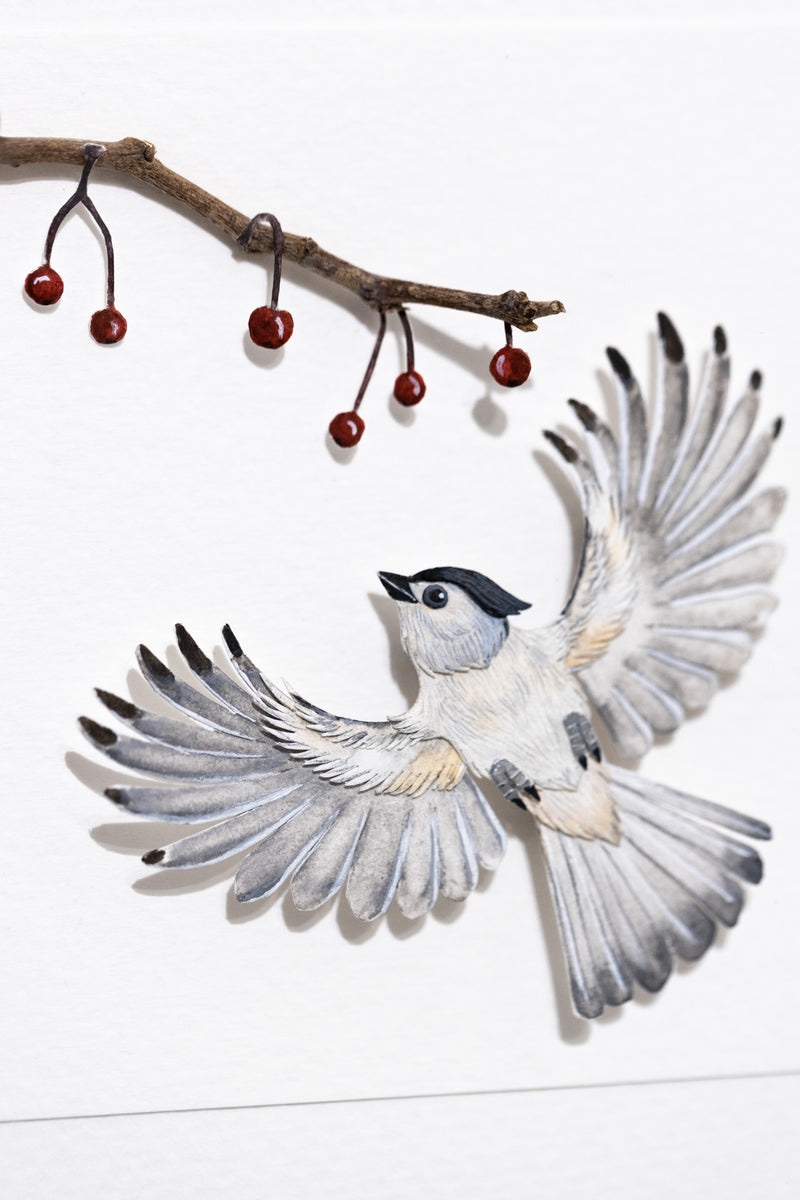 Tufted Titmouse