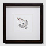 Tufted Titmouse