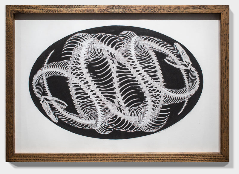 Umbilical Filigree Ovum (drawing)