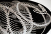 Umbilical Filigree Ovum (drawing)