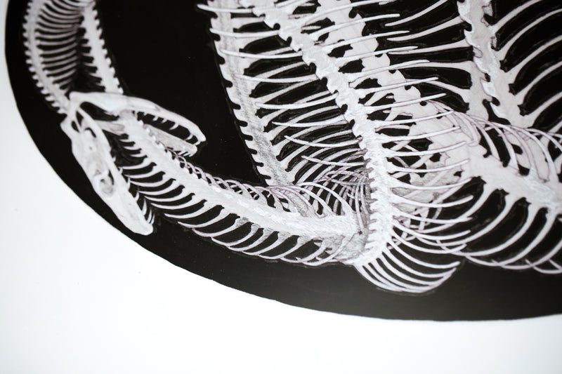 Umbilical Filigree Ovum (drawing)
