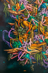 Untitled (Jeremy Nichols)