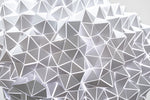 From the series- “Visions from a White Hole” (small)