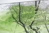 William Penn Shelter, Pennsylvania, [ 40.49559, -76.41409 ]