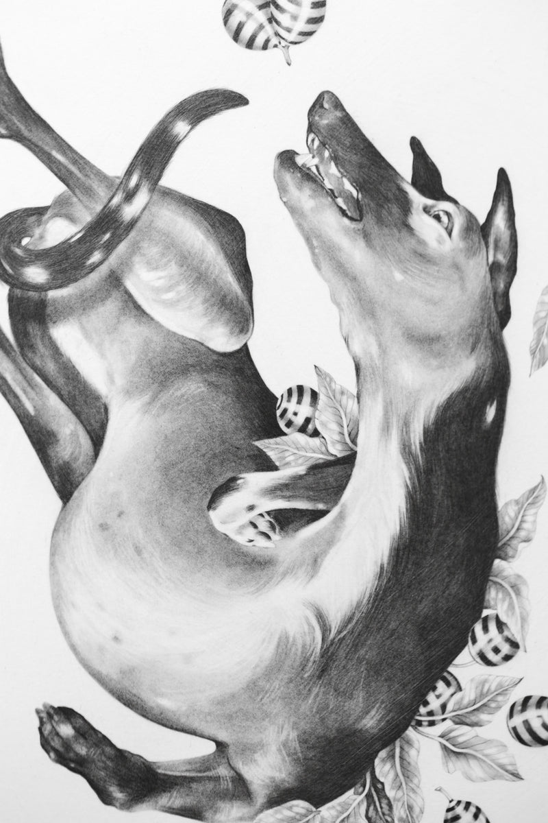 Writhing
