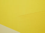 YELLOW Lean on and Against no. 41
