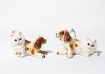 Persian Spaniels