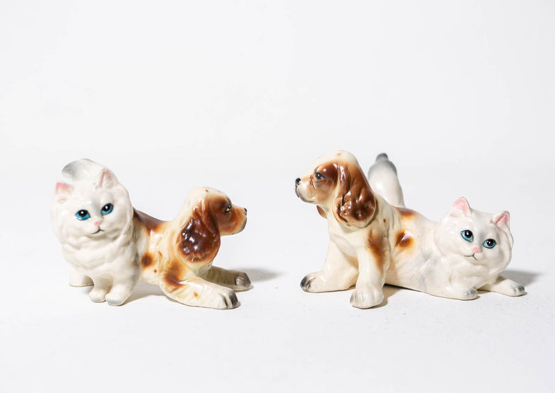 Persian Spaniels