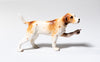 Pointer (Brown & White)