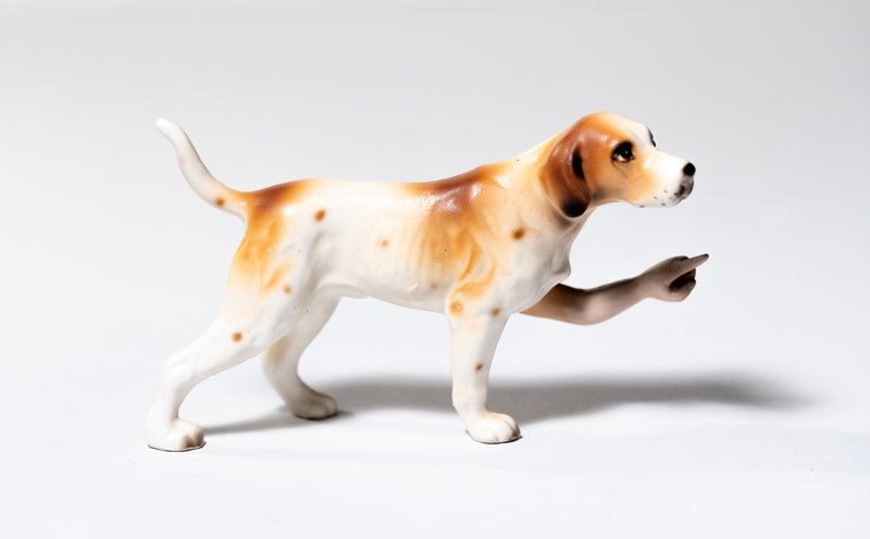 Pointer (Brown & White)