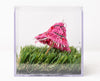 Rose Umbrella