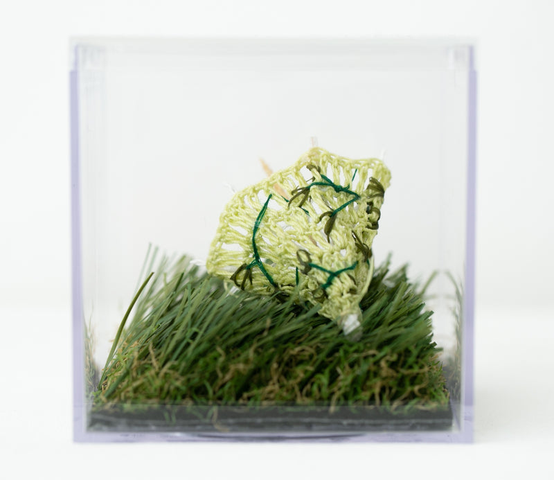 Lemongrass Umbrella