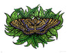 Black Witch Moth (Silkscreen Print)