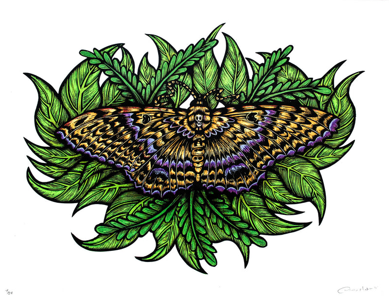 Black Witch Moth (Silkscreen Print)