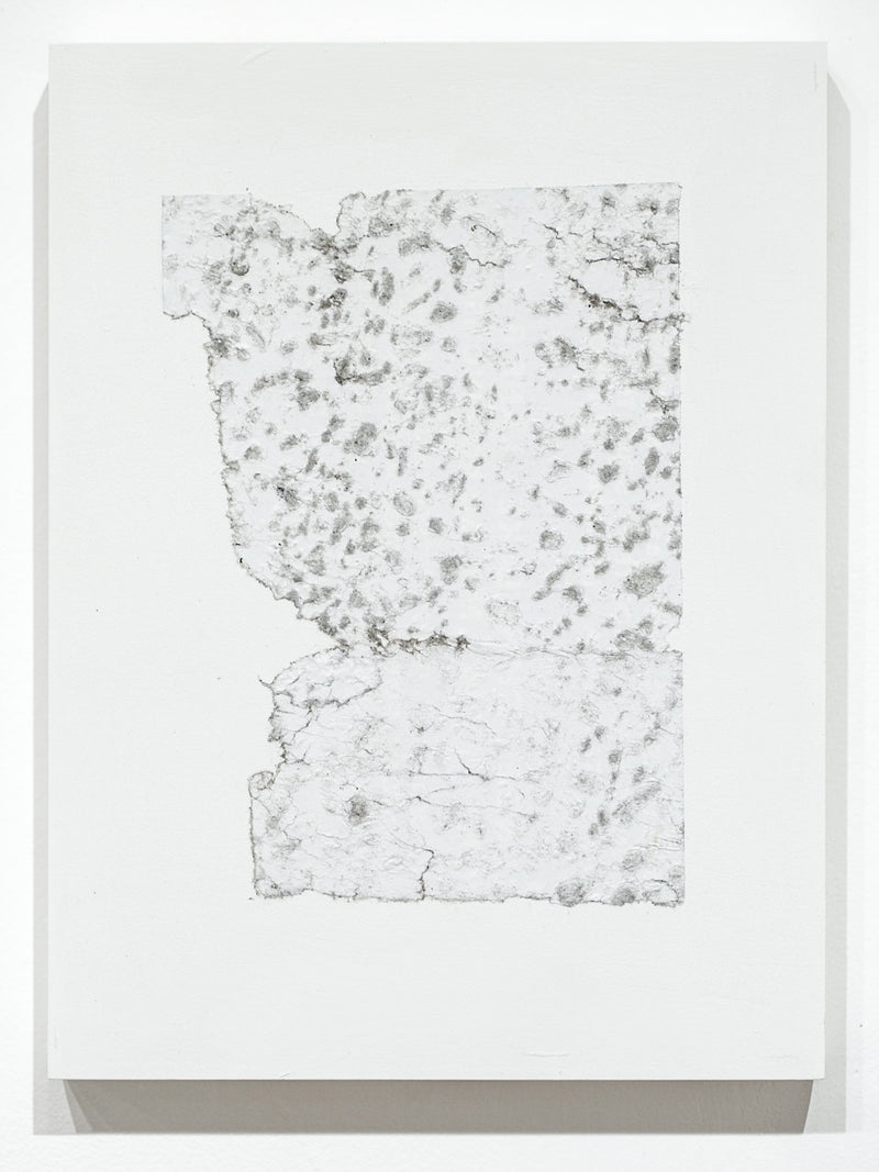 Fragmentation Installation Series 46
