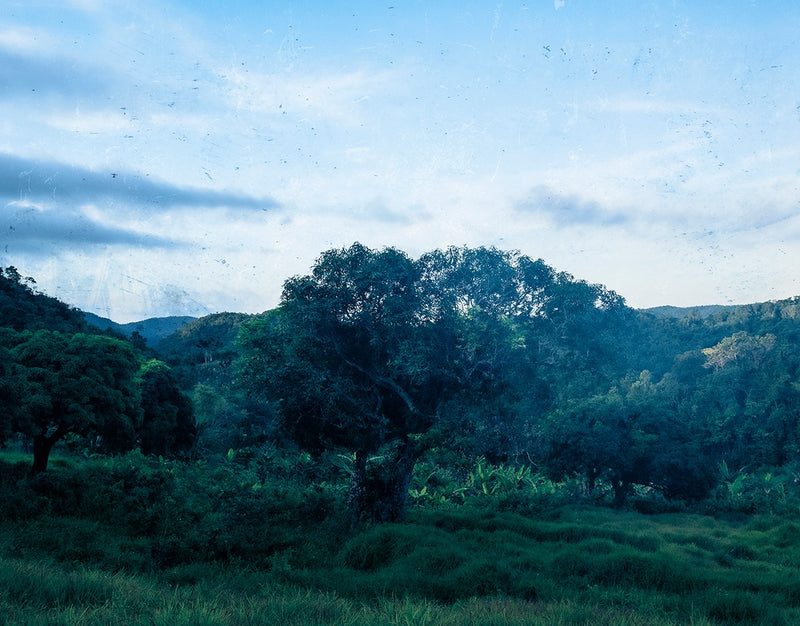 Atop Blue Mountain Jamaica