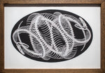 Umbilical Filigree Ovum (drawing)
