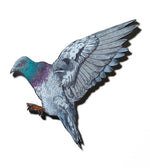 Pigeon II