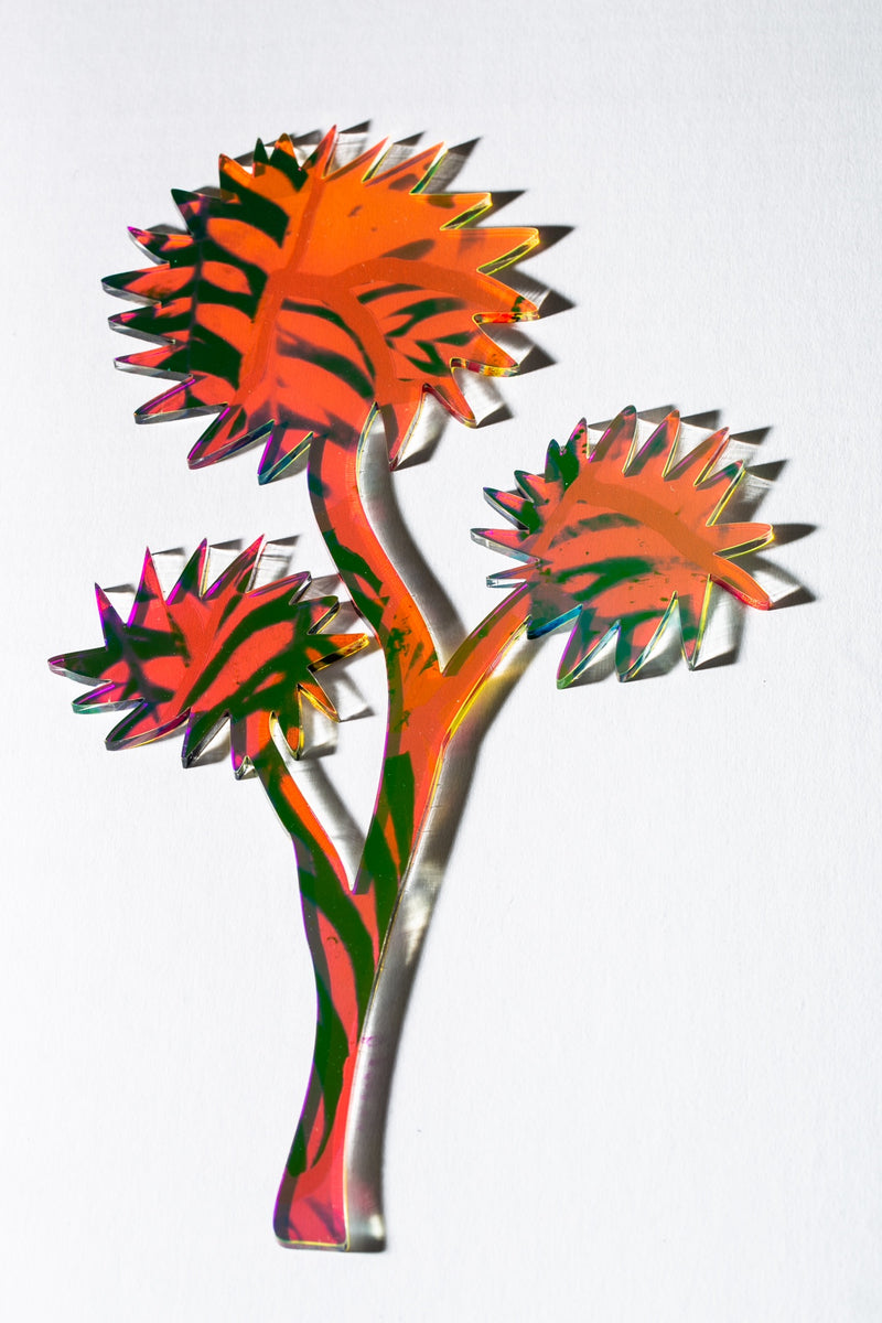 Cornflowers