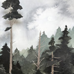 Composite: East