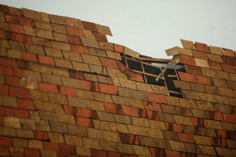 Roof Study